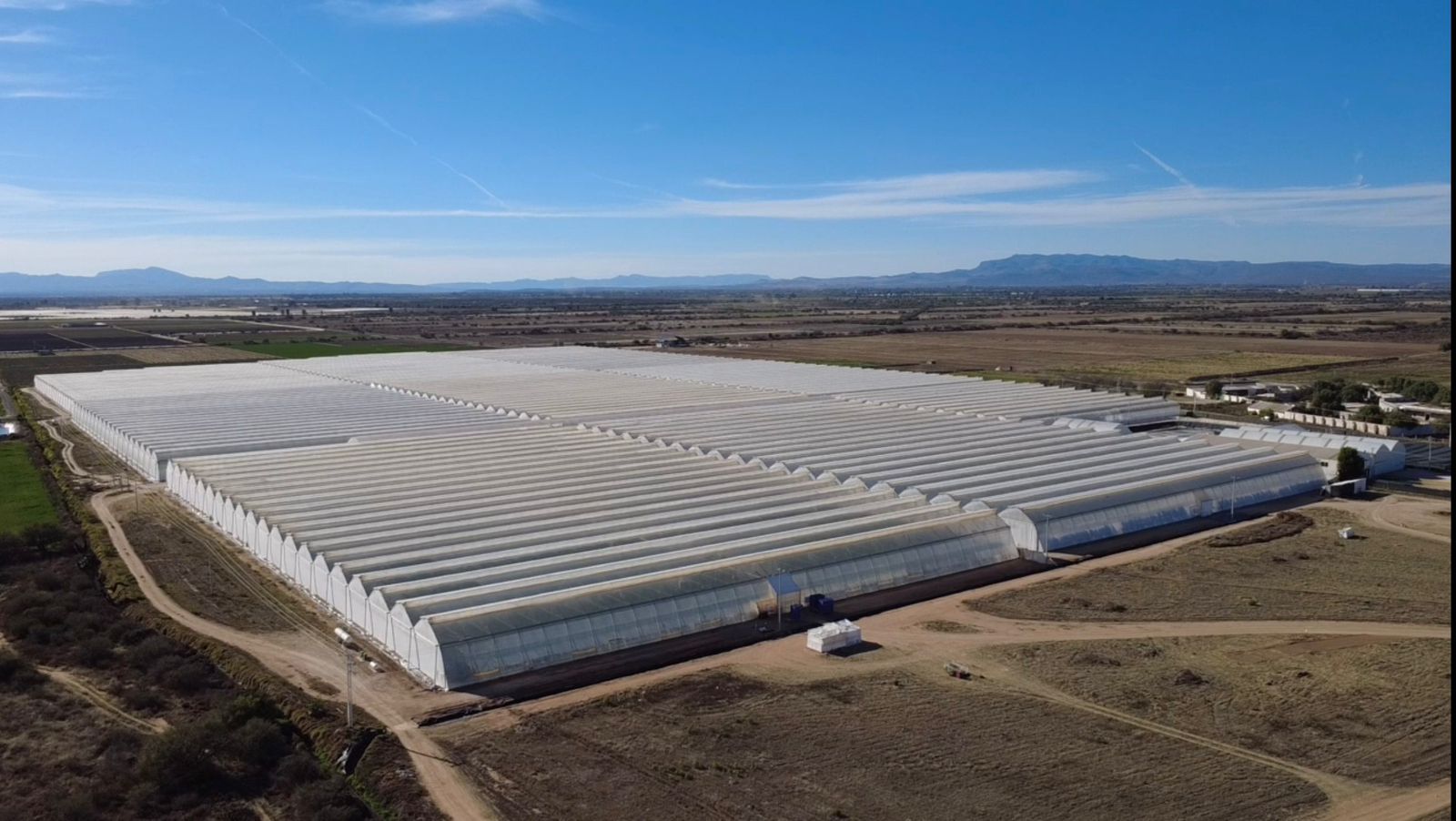 Exportación de hortalizas